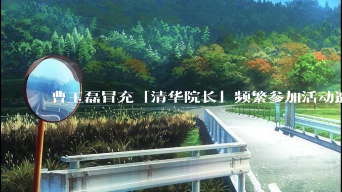 曹玉磊冒充「清华院长」频繁参加活动遭官方打***，他为何能堂而皇之以***身份开展活动？其将受到哪些处罚？