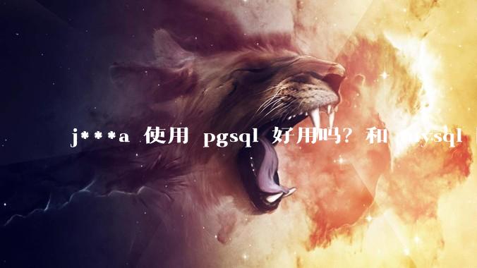 j***a 使用 pgsql 好用吗？和 mysql 区别大吗？