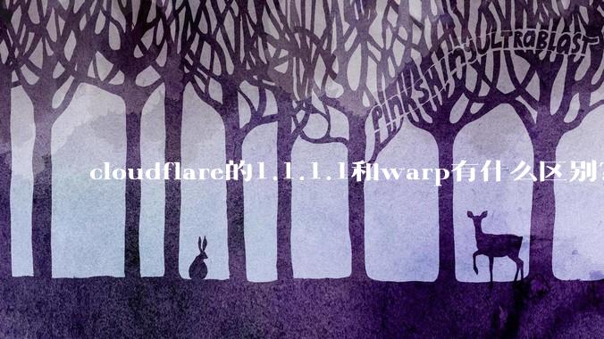 cloudflare的1.1.1.1和warp有什么区别？