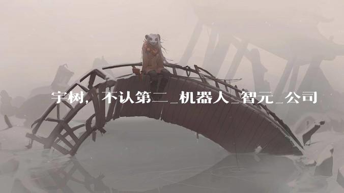 宇树，不认第二_机器人_智元_公司