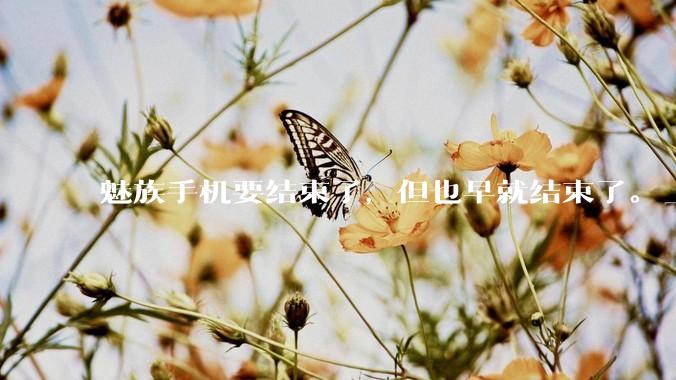 魅族手机要结束了，但也早就结束了。_托尼_产品_用户